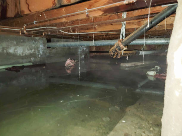 Best Residential water damage restoration  in Cordry Sweetwater Lakes, IN