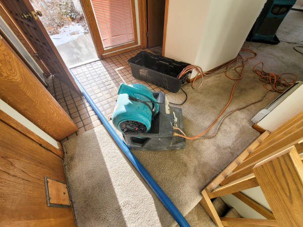Best Local water damage restoration  in Cordry Sweetwater Lakes, IN