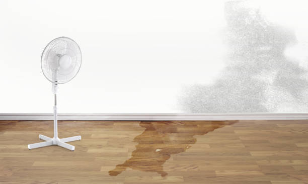 Best Commercial water damage restoration  in Cordry Sweetwater Lakes, IN