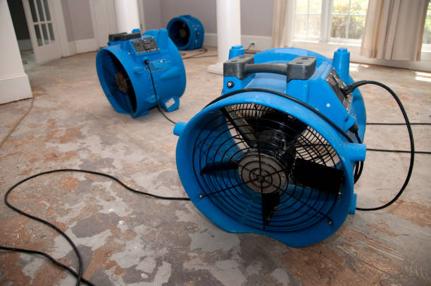 Best Sewage cleanup and water damage restoration  in Cordry Sweetwater Lakes, IN