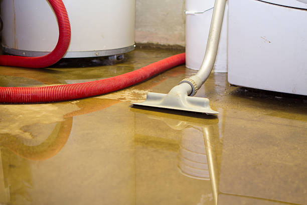 Best Carpet water damage restoration  in Cordry Sweetwater Lakes, IN