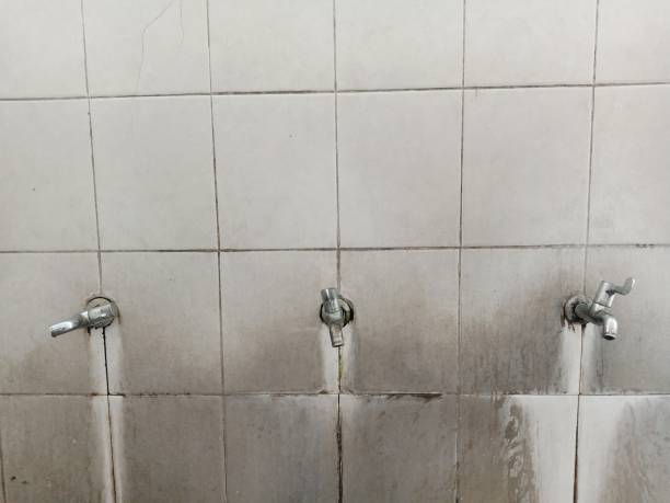 Best Local water damage restoration  in Cordry Sweetwater Lakes, IN