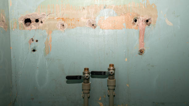 Best Water damage cleanup near me  in Cordry Sweetwater Lakes, IN