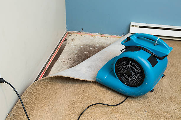 Best Commercial water damage restoration  in Cordry Sweetwater Lakes, IN
